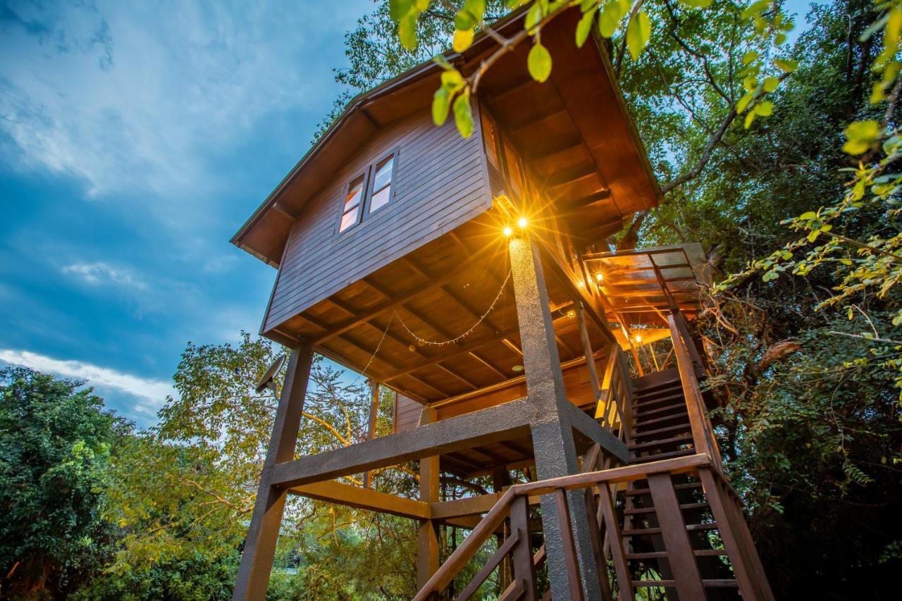Sigiriya King'S Resort Εξωτερικό φωτογραφία