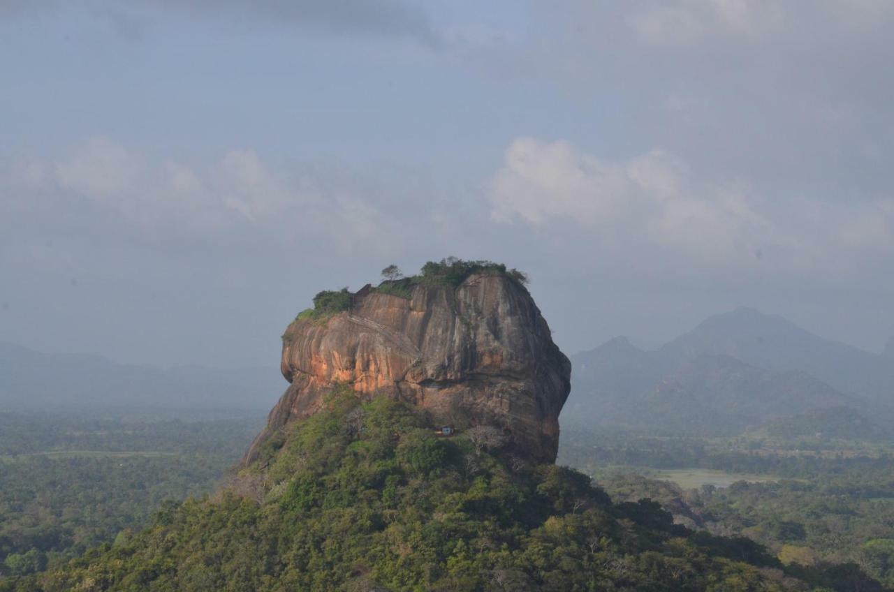 Sigiriya King'S Resort Εξωτερικό φωτογραφία