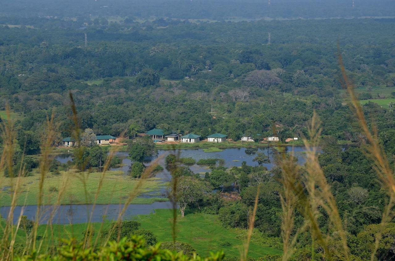 Sigiriya King'S Resort Εξωτερικό φωτογραφία