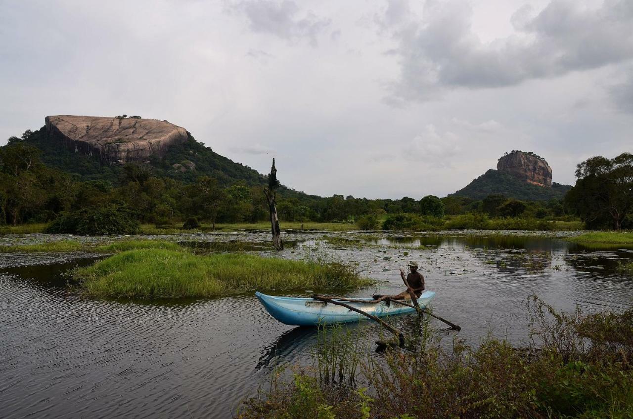 Sigiriya King'S Resort Εξωτερικό φωτογραφία