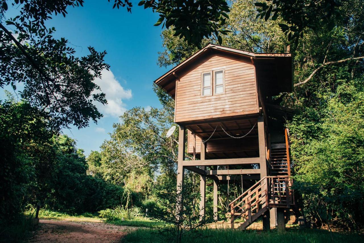Sigiriya King'S Resort Εξωτερικό φωτογραφία