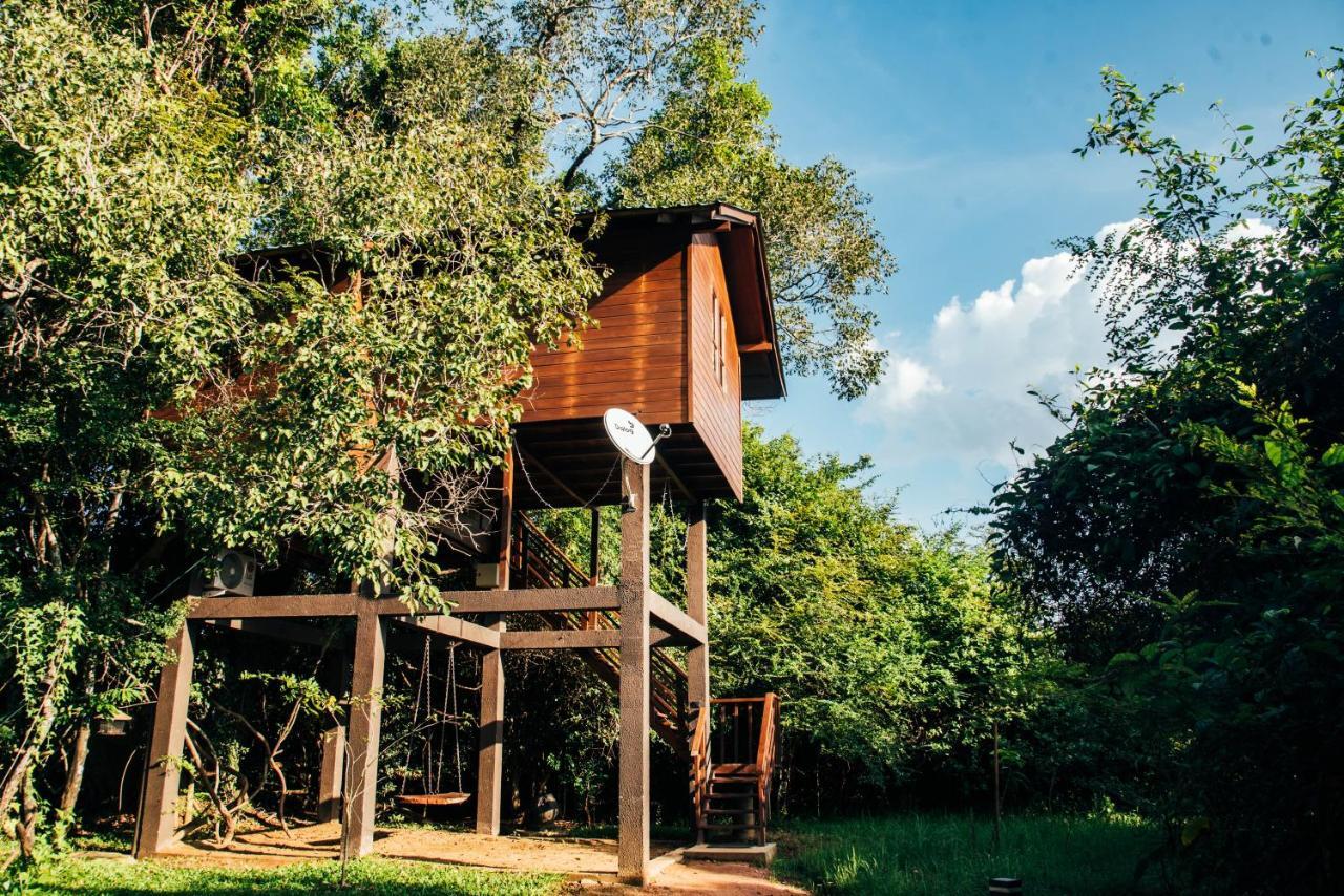 Sigiriya King'S Resort Εξωτερικό φωτογραφία