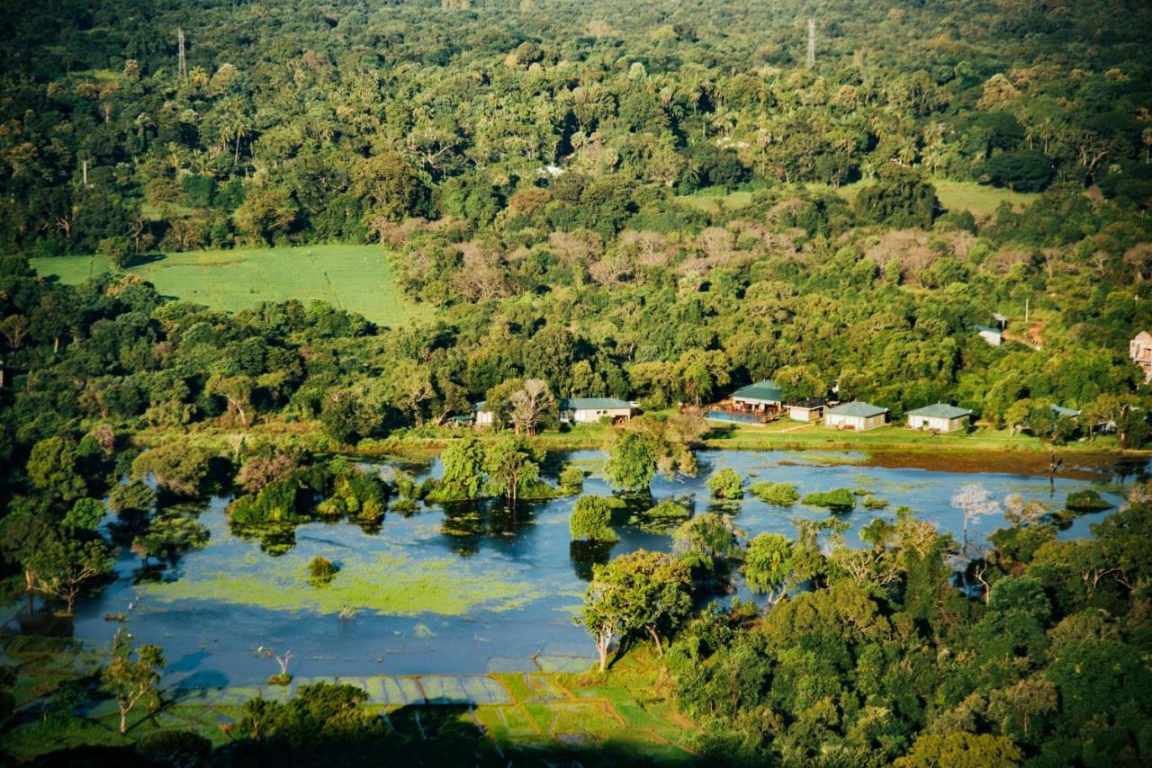 Sigiriya King'S Resort Εξωτερικό φωτογραφία